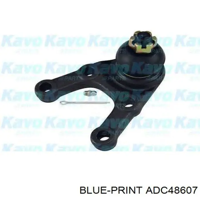 Шаровая опора, нижняя Blue Print ADC48607 цена, от 23.71 USD