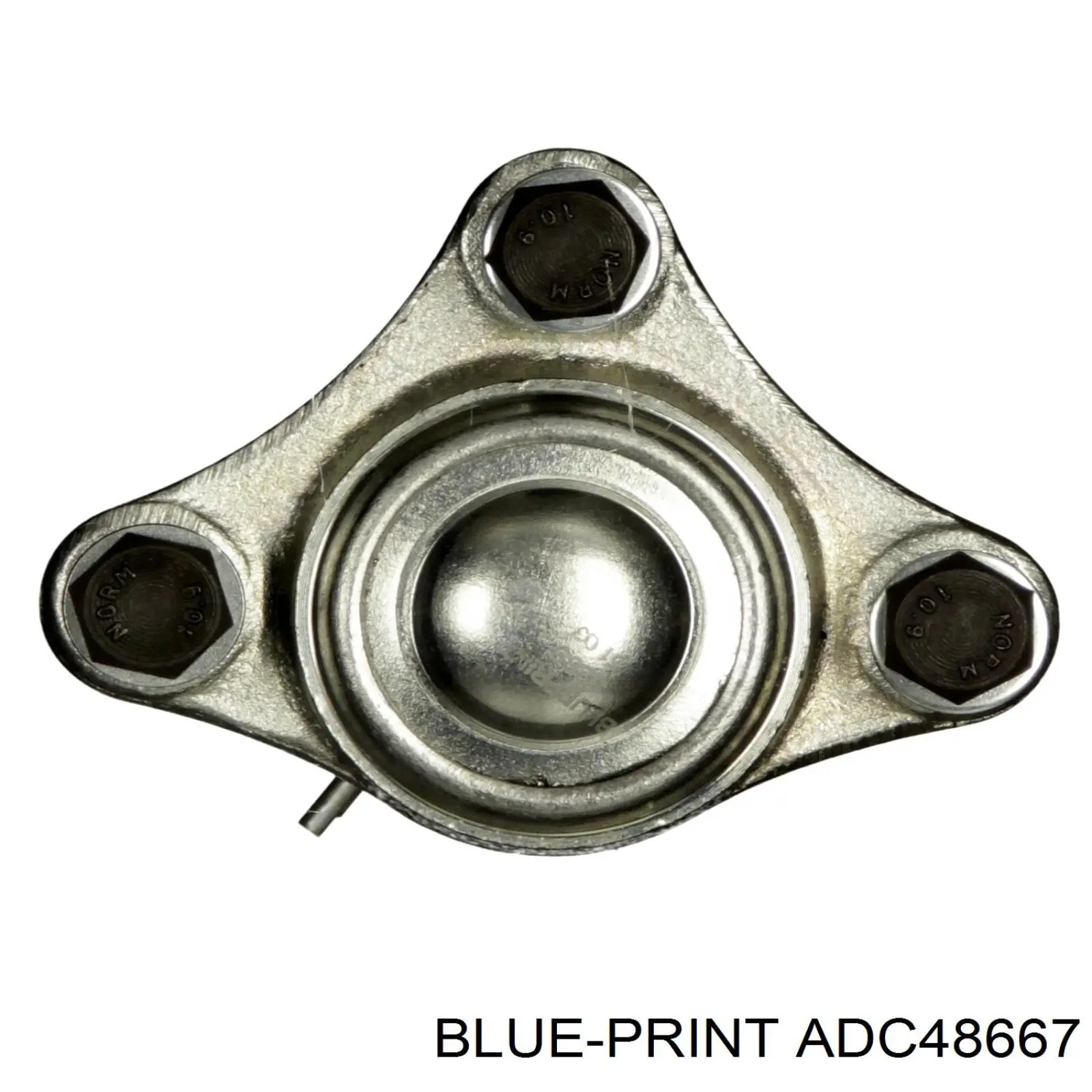 Купить ADC48667 Blue Print Верхняя шаровая опора