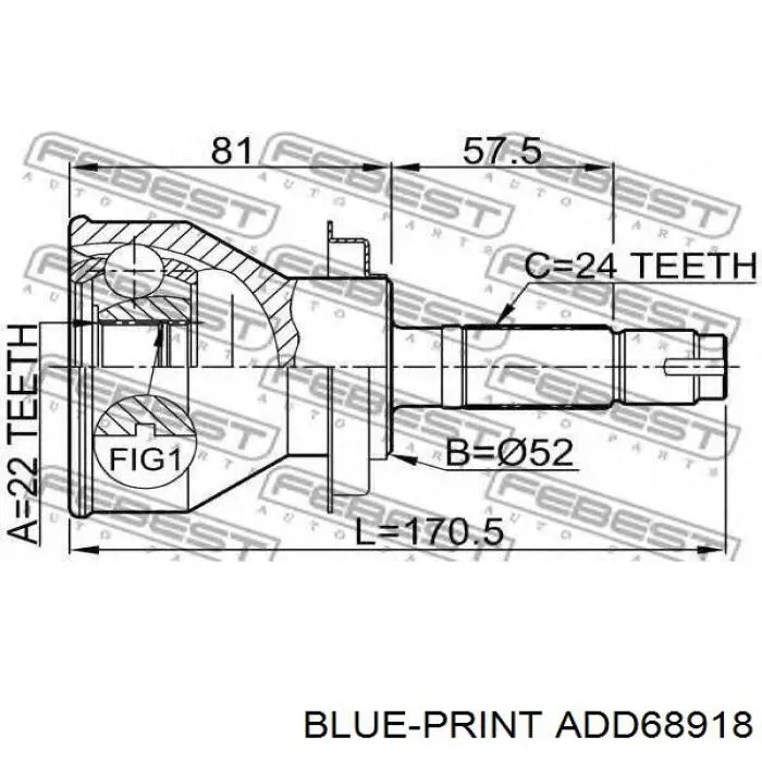 Junta homocinética exterior delantera ADD68918 Blue Print