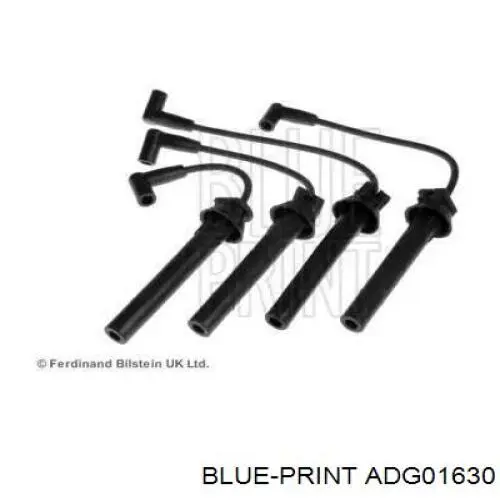  ADG01630 Blue Print