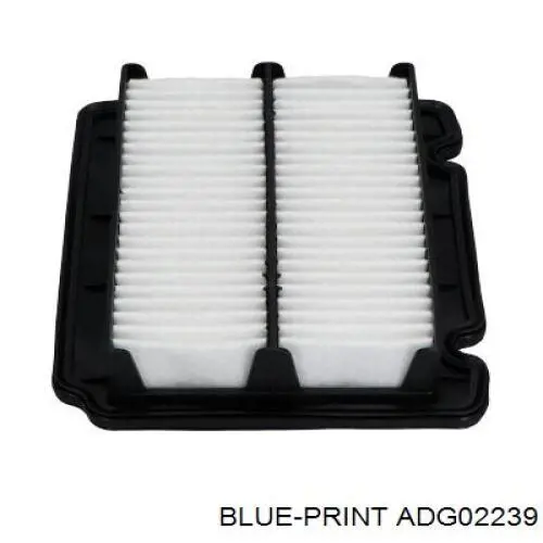 ADG02239 Blue Print