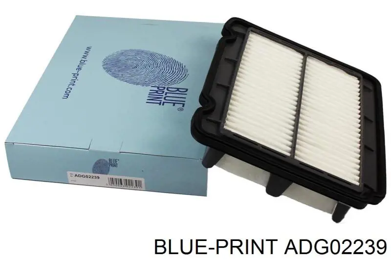 ADG02239 Blue Print