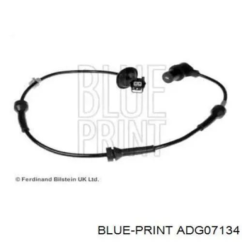 Sensor ABS delantero derecho ADG07134 Blue Print