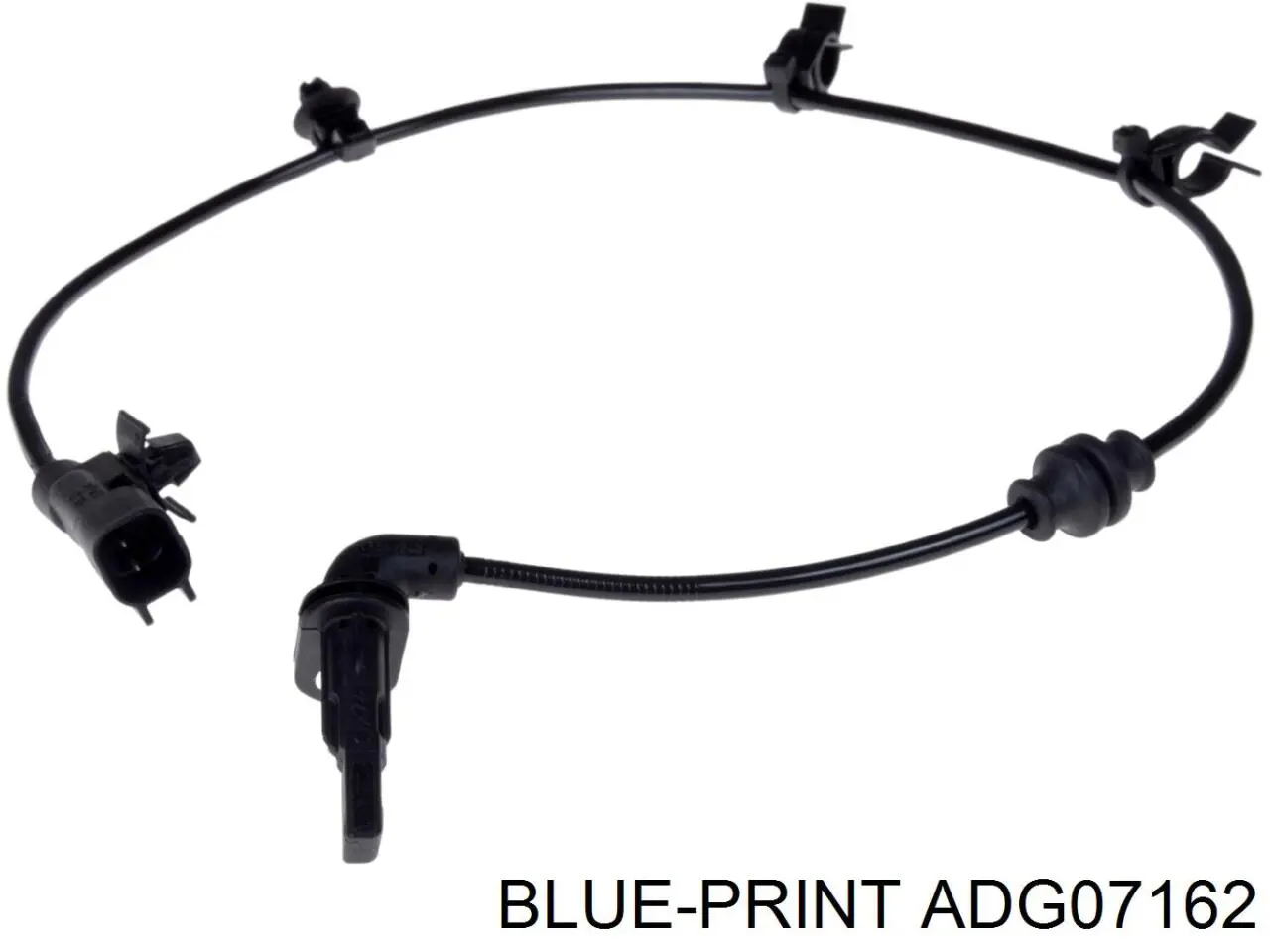 Sensor ABS trasero ADG07162 Blue Print