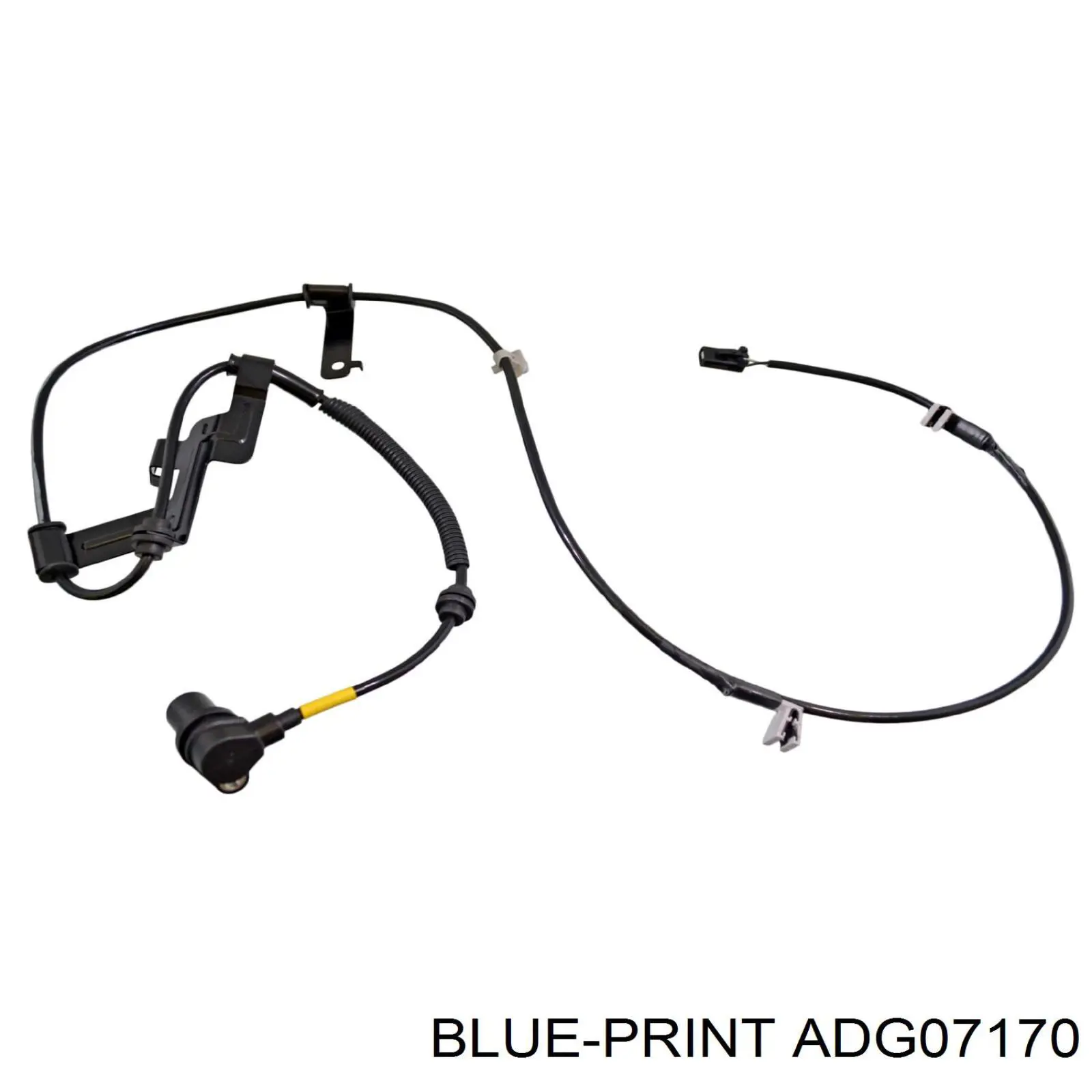 Sensor ABS delantero derecho ADG07170 Blue Print