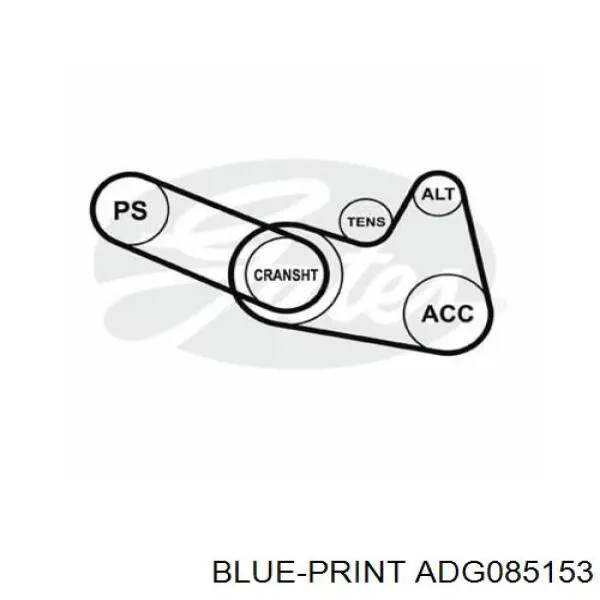 Стойка стабилизатора переднего правая ADG085153 Blue Print