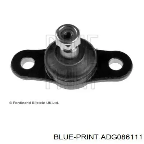 Rótula de suspensión inferior ADG086111 Blue Print