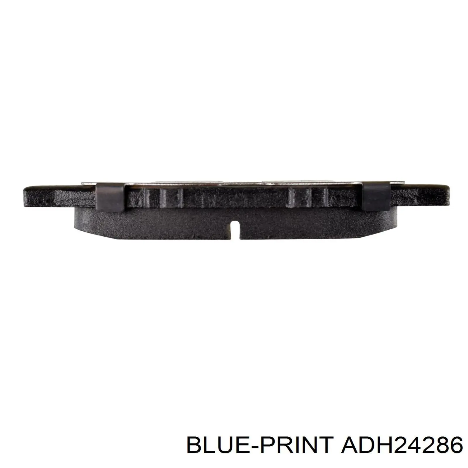 ADH24286 Blue Print
