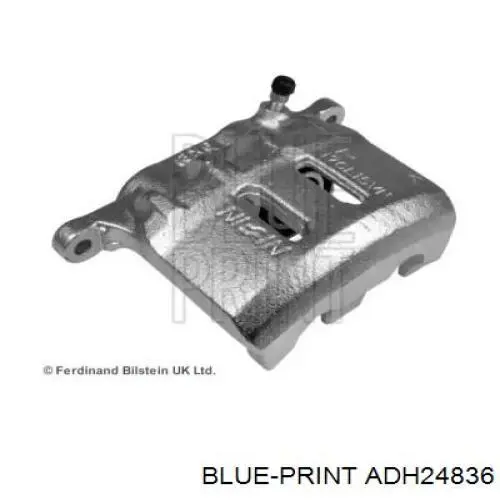  ADH24836 Blue Print