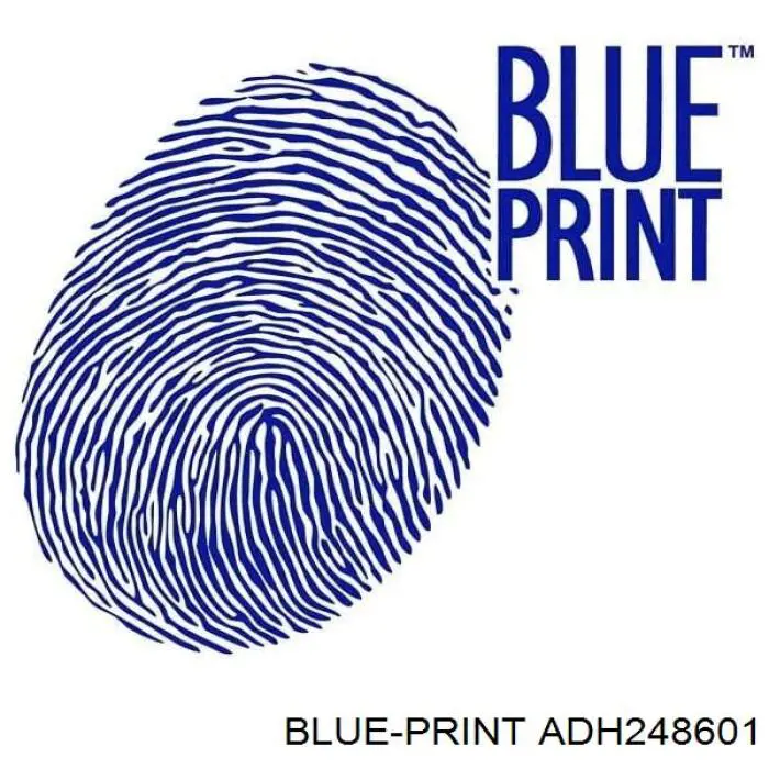Conjunto De Muelles Almohadilla Discos Delanteros ADH248601 Blue Print