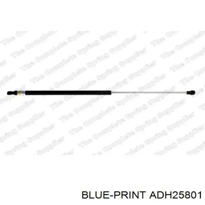 Амортизатор задней двери Blue Print ADH25801 цена, от 11.26 USD