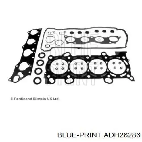  ADH26286 Blue Print