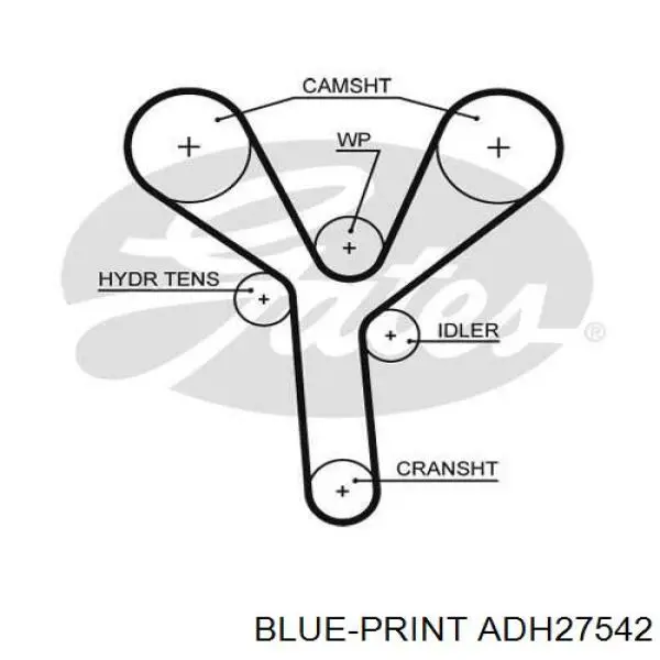 Ремень ГРМ ADH27542 Blue Print