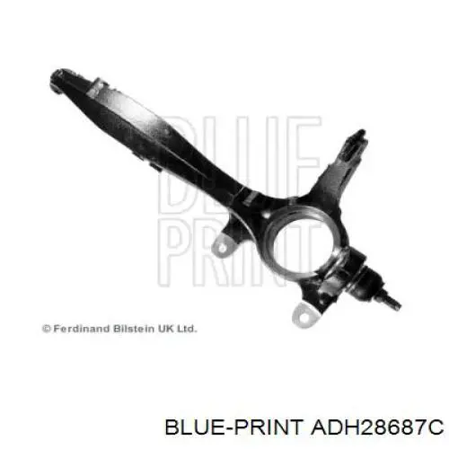 Цапфа (поворотный кулак) передний правый ADH28687C Blue Print