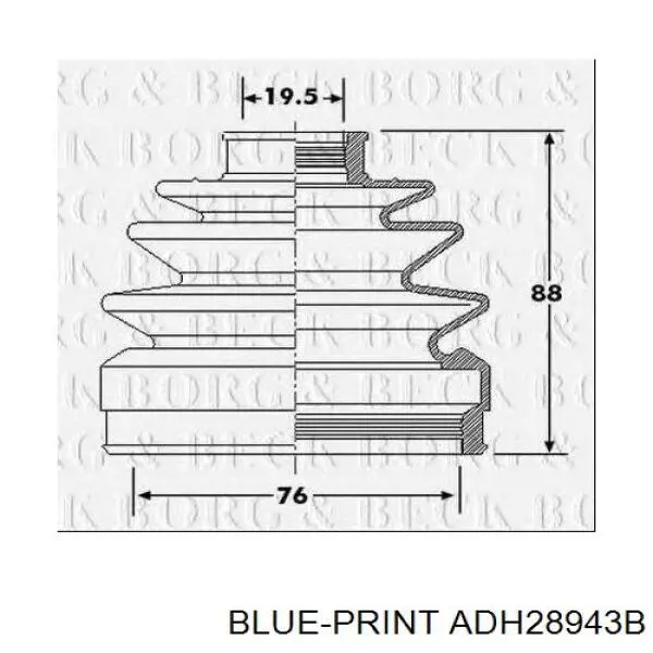 ШРУС наружный передний ADH28943B Blue Print