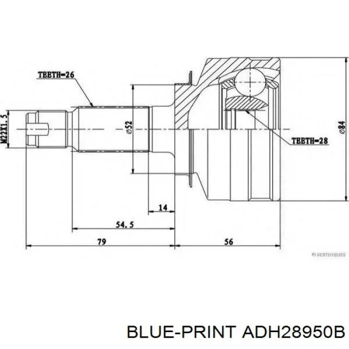 Junta homocinética exterior delantera ADH28950B Blue Print