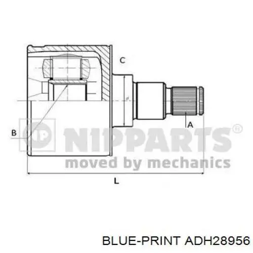 ШРУС наружный передний ADH28956 Blue Print