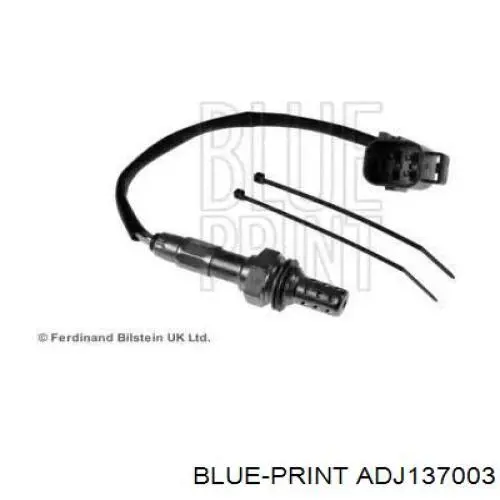 ADJ137003 Blue Print 