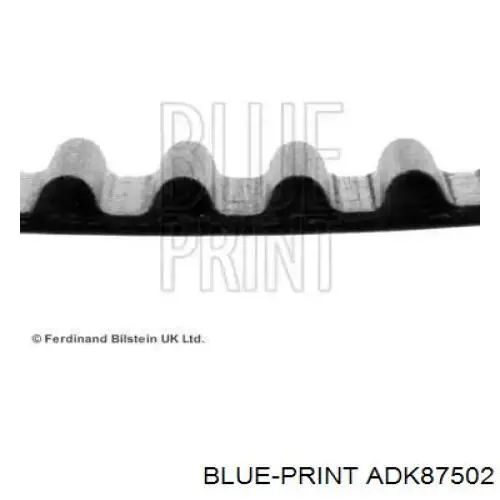Correa distribucion ADK87502 Blue Print
