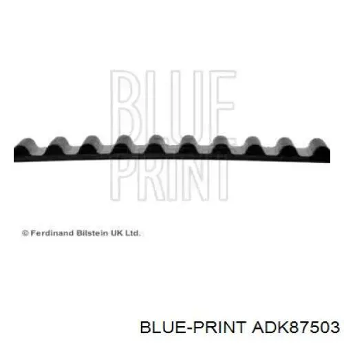 Correa distribucion ADK87503 Blue Print