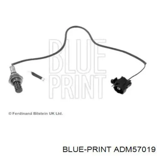  ADM57019 Blue Print