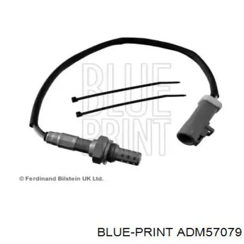 ADM57079 Blue Print 