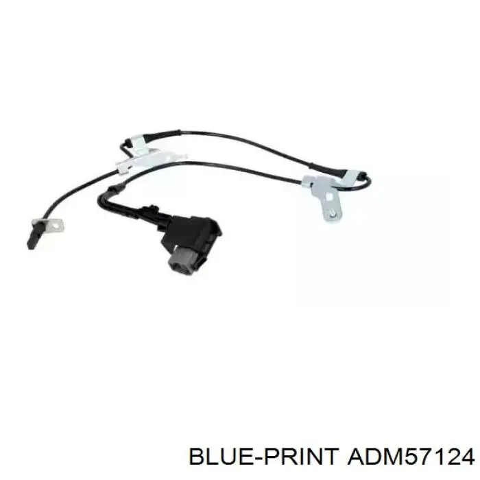 Sensor ABS delantero izquierdo ADM57124 Blue Print