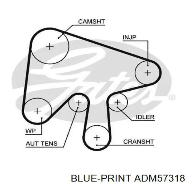Комплект ГРМ ADM57318 Blue Print