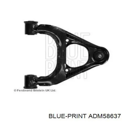  ADM58637 Blue Print