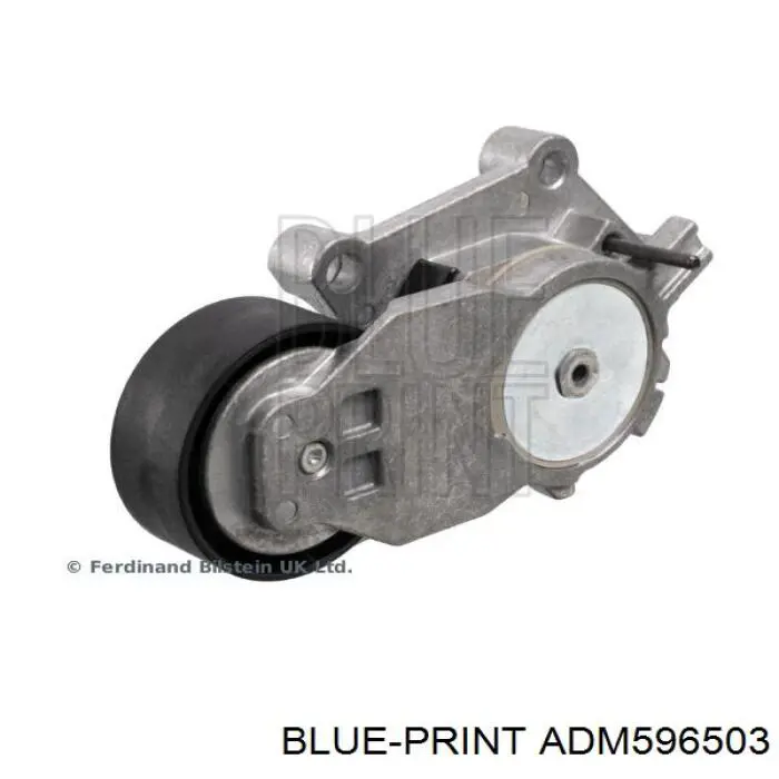 Tensor de correa, correa poli V ADM596503 Blue Print