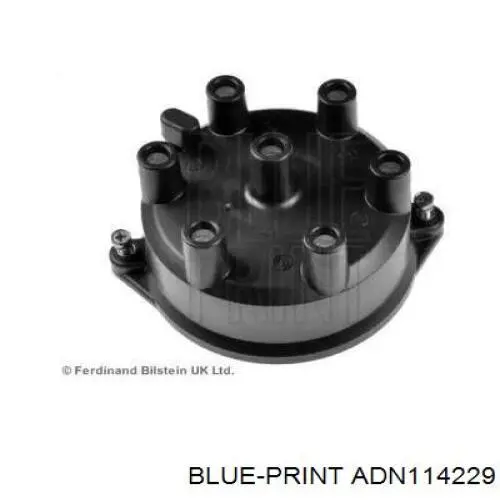  ADN114229 Blue Print