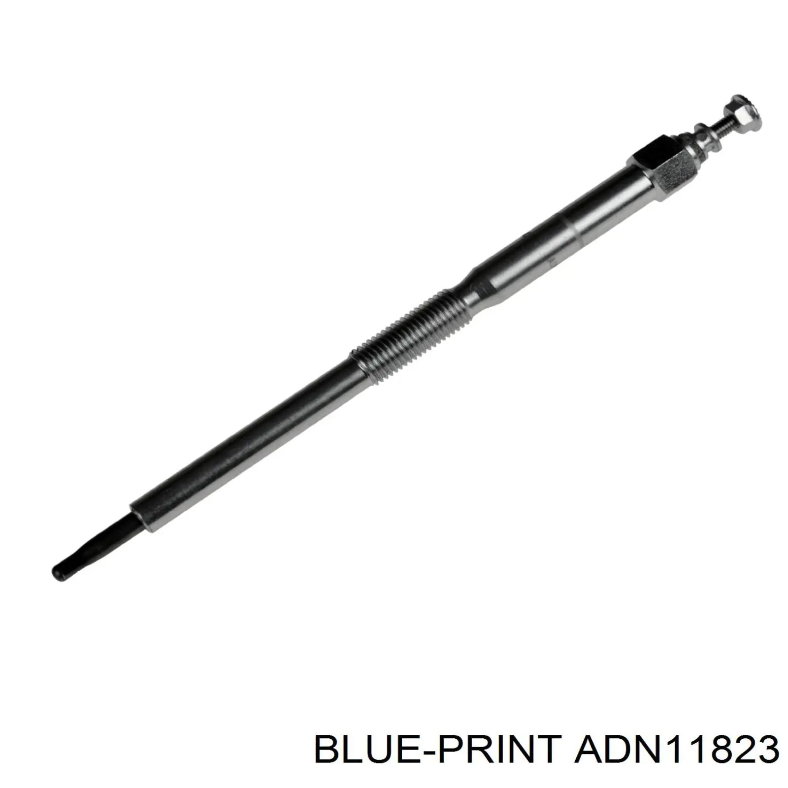 ADN11823 Blue Print