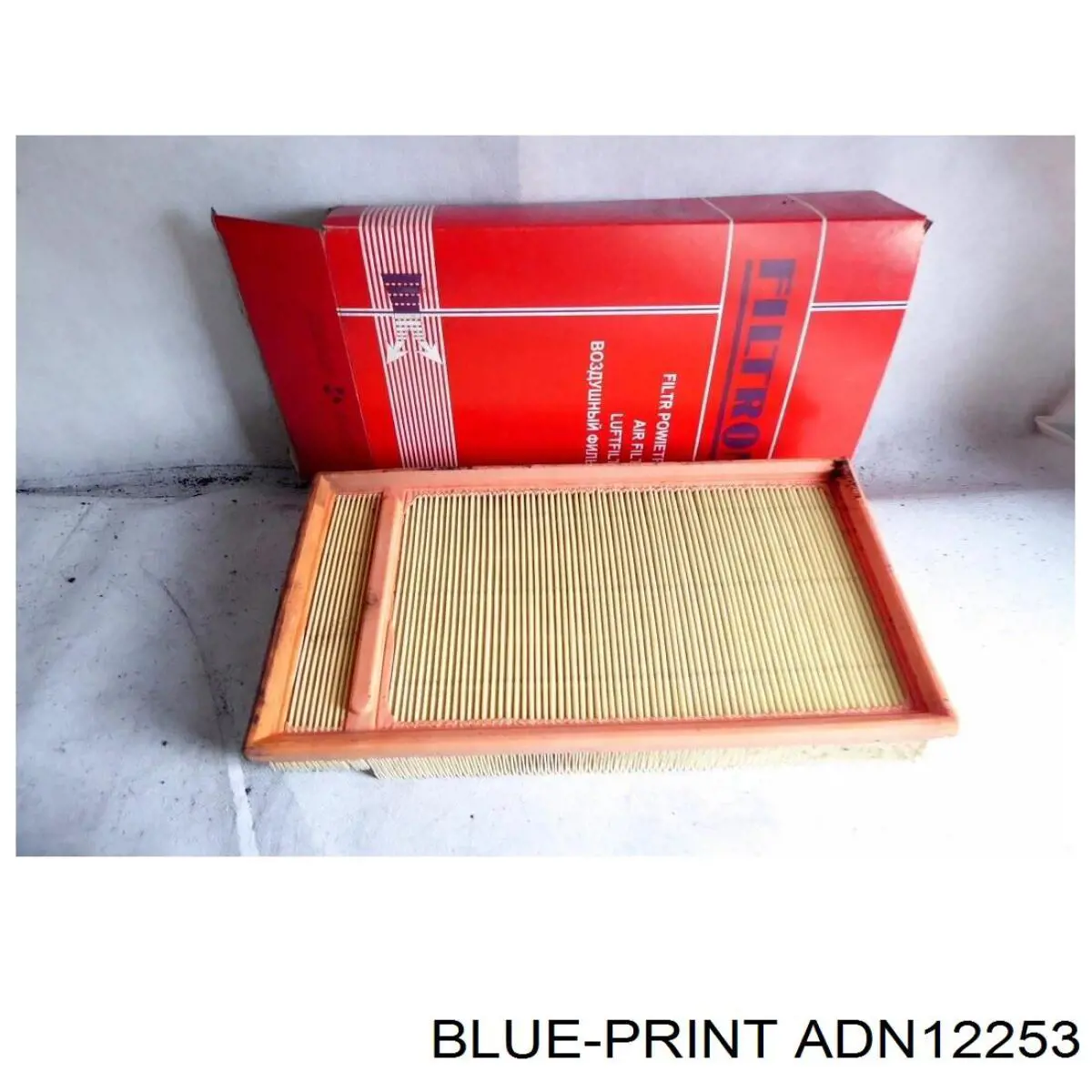 ADN12253 Blue Print