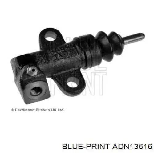  ADN13616 Blue Print