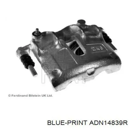 ADN14839R Blue Print 