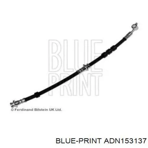 ADN153137 Blue Print шланг тормозной передний левый