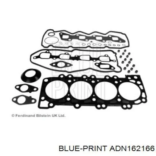  ADN162166 Blue Print