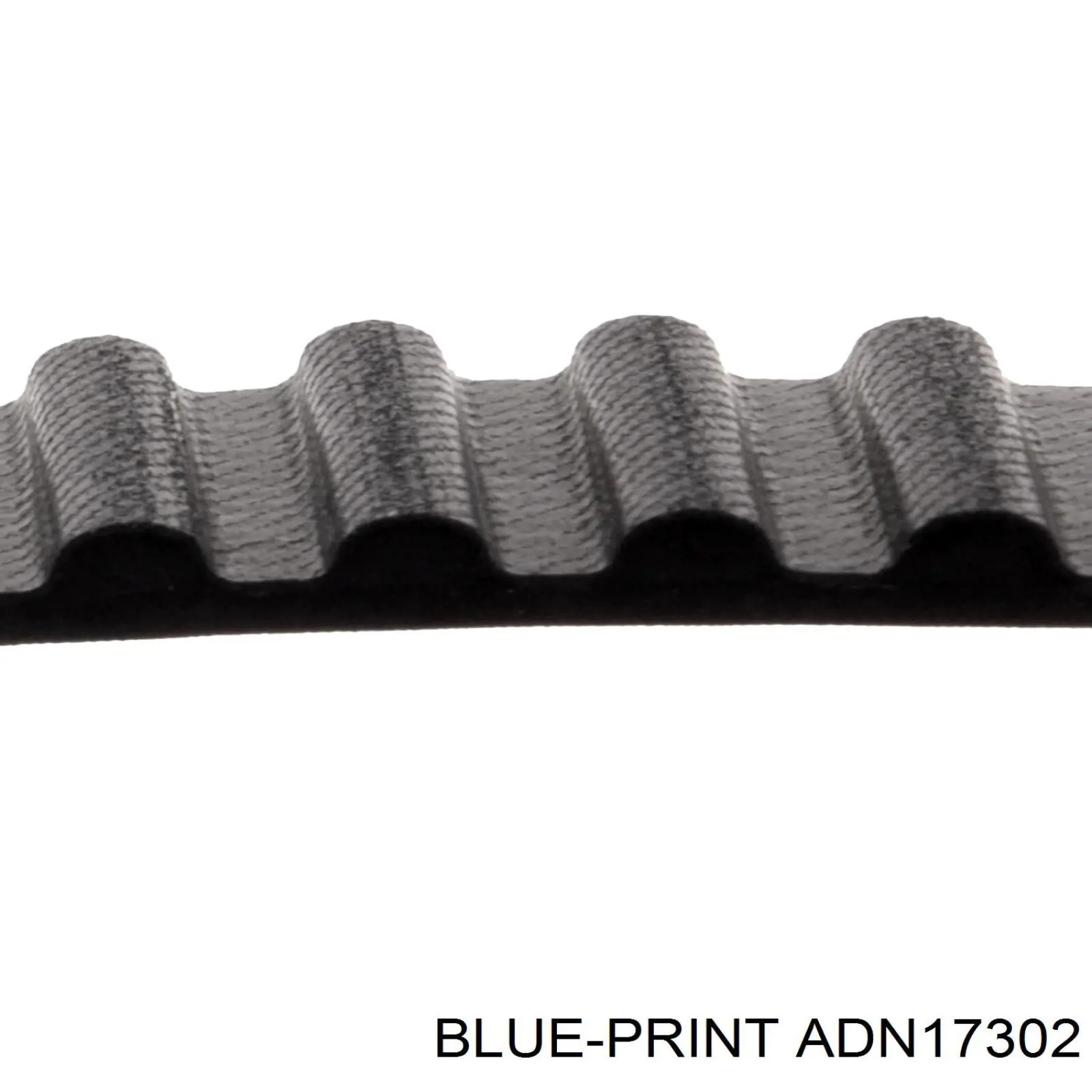 ГРМ ремни, комплект Nissan Almera I хэтчбек (N15) (1995 - 2000) цена, от 113.38 USD