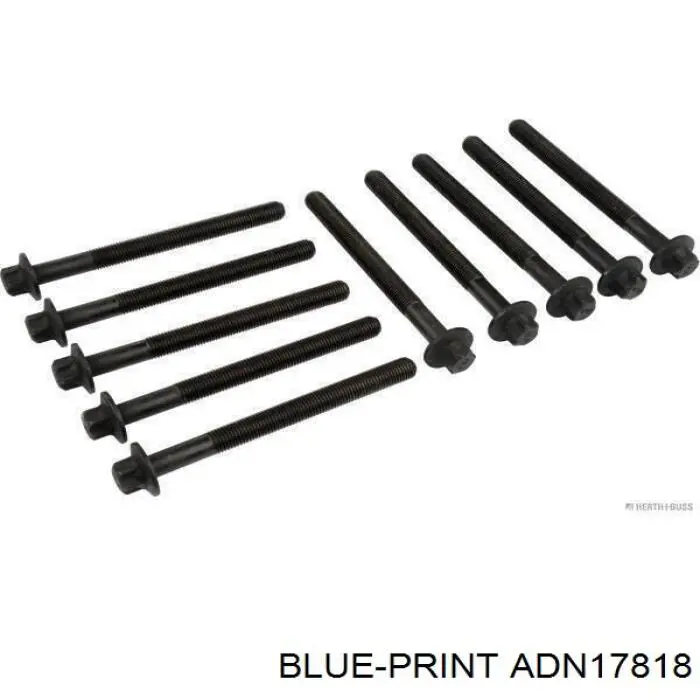 ADN17818 Blue Print