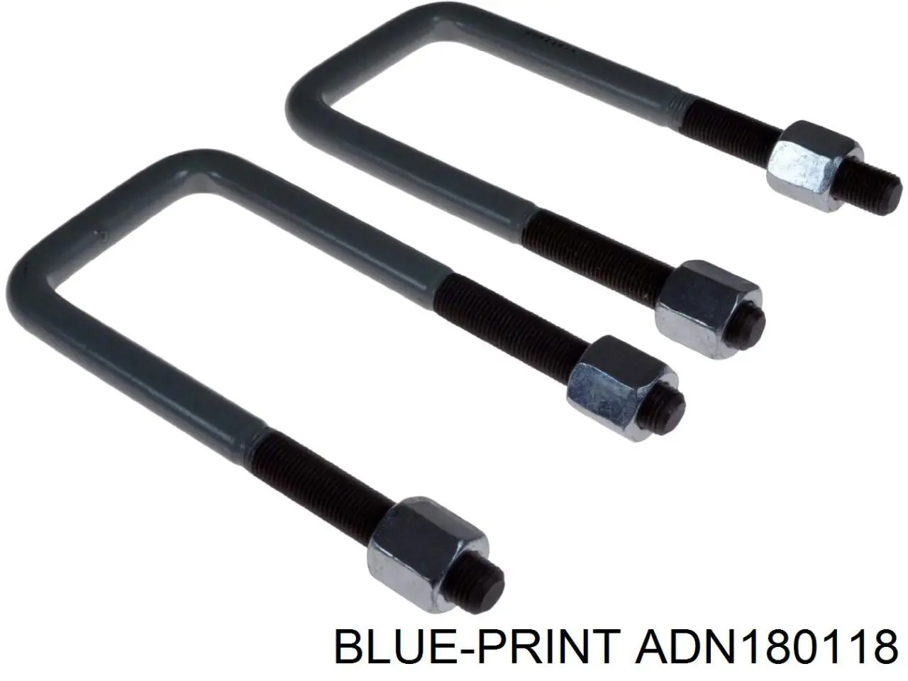 Купить ADN180118 Blue Print 