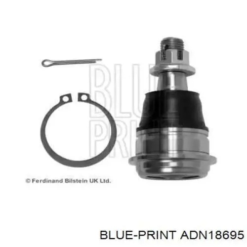 Нижняя шаровая опора ADN18695 Blue Print