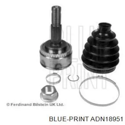 ШРУС наружный передний ADN18951 Blue Print