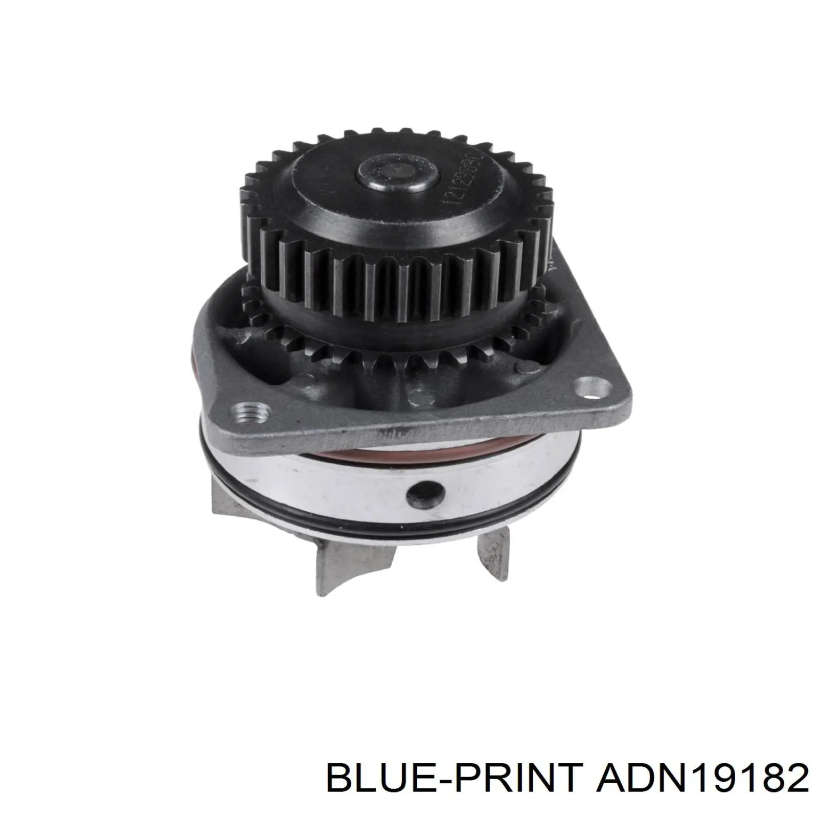 Помпа охлаждения Renault (RVI) 21010AL525 цена, от 48.97 USD