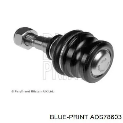 Нижняя шаровая опора ADS78603 Blue Print