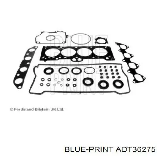  ADT36275 Blue Print