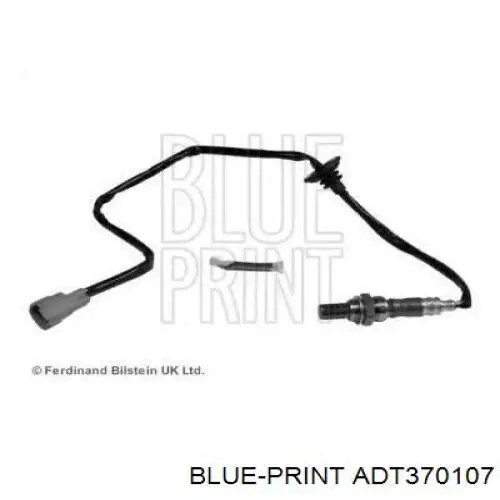  ADT370107 Blue Print