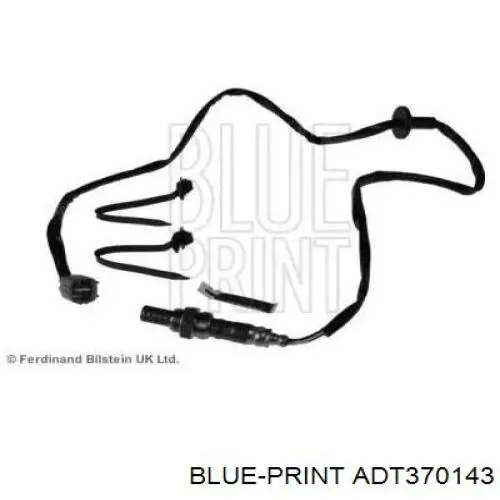  ADT370143 Blue Print