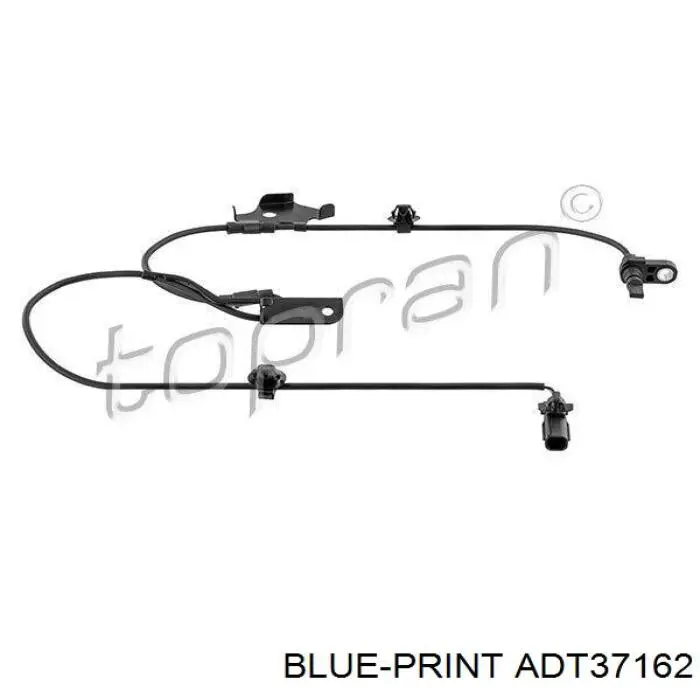 Датчик АБС (ABS) передний правый ADT37162 Blue Print