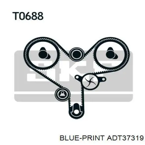 Kit correa de distribución ADT37319 Blue Print