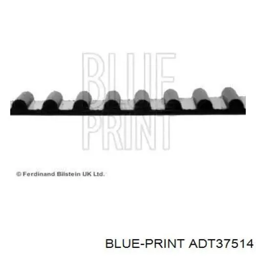 Correa distribucion ADT37514 Blue Print